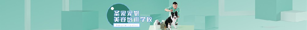 圣寵寵物美容學(xué)校