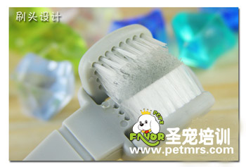 寵物美容工具牙刷