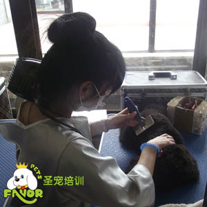 圣寵學(xué)校精彩課堂-工具使用