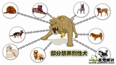 禁養(yǎng)犬類