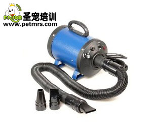 寵物吹水機(jī)