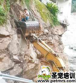 臺(tái)風(fēng)蘇力肆虐 狗狗被困懸崖4天后被主人救回