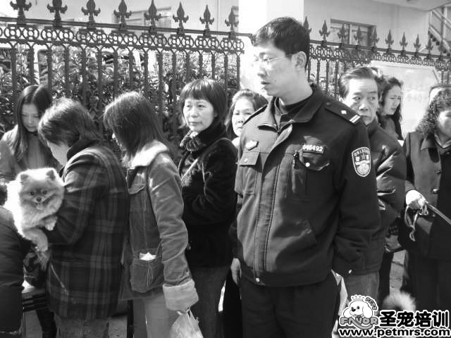警察上門(mén)辦狗證