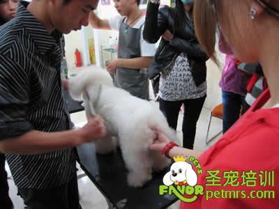 圣寵李博昭老師現(xiàn)場(chǎng)指導(dǎo)學(xué)生