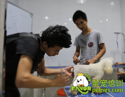 圣寵李博昭老師指導(dǎo)學(xué)生