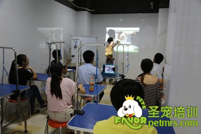 圣寵李博昭老師給學(xué)生講課