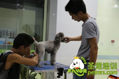 圣寵實操課老師在旁指導