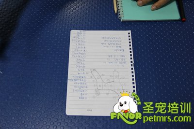 圣寵學(xué)員的試卷