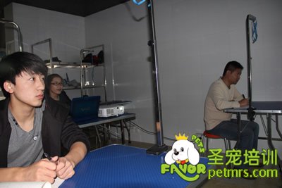 圣寵寵物醫(yī)療理論課程