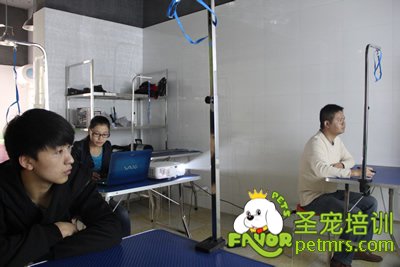 圣寵寵物醫(yī)療理論課程