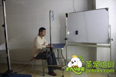 圣寵寵物醫(yī)療理論課程