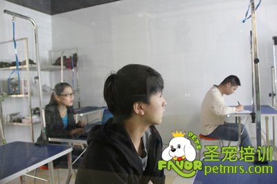 圣寵寵物醫(yī)療理論課程