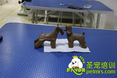 圣寵寵物陶藝課程