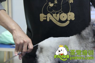 圣寵學(xué)員考試進(jìn)行中