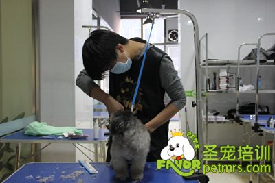 圣寵學(xué)員考試進(jìn)行中