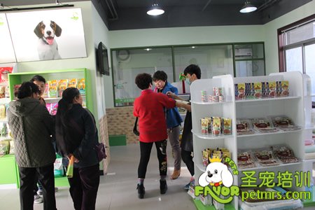 圣寵寵物歡樂(lè)谷店