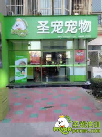 圣寵寵物歡樂(lè)谷店開業(yè)了