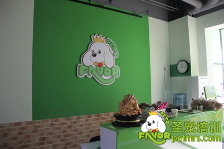 圣寵歡樂(lè)谷店收銀臺(tái)