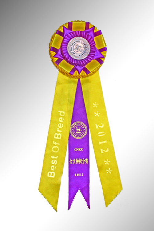 2012年CNKC全犬種積分賽榮譽(yù)獎(jiǎng)?wù)? height=
