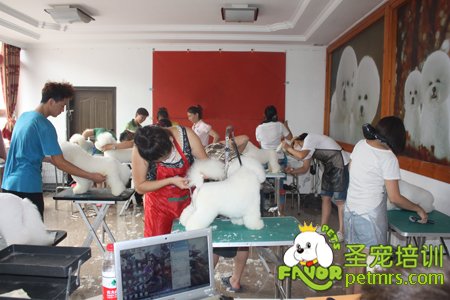 學員實操練習課堂