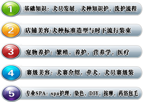 深度研修班課程目錄