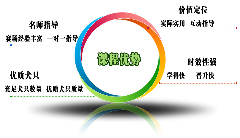 課程優(yōu)勢(shì)