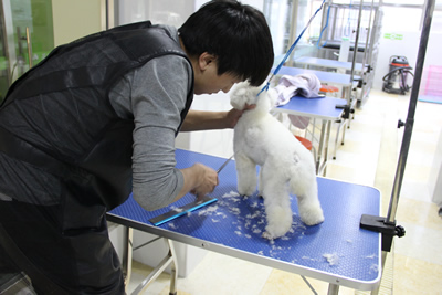 圣寵學(xué)子苦練基本功