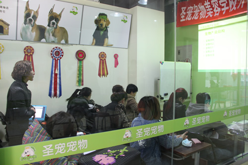 店鋪技術(shù)班第2期基礎(chǔ)理論課堂
