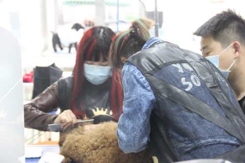 店鋪技術(shù)班第2期學員練習梳毛
