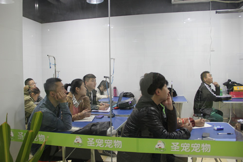 圣寵寵物醫(yī)療課程