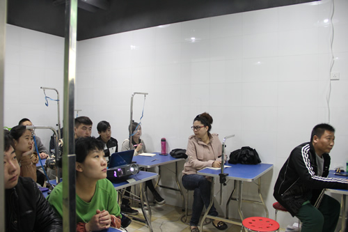 圣寵寵物醫(yī)療課程
