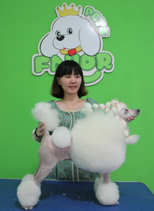 圣寵寵物學(xué)員