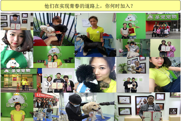 圣寵畢業(yè)學員