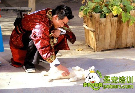 鄭愷《跑男》劇照曝光 與萌寵互動(dòng)溫暖有愛