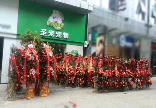 圣寵寵物江蘇常州萬達(dá)寵物店
