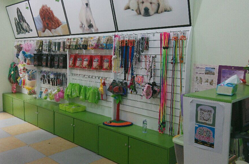 圣寵寵物江蘇常州萬達(dá)寵物店