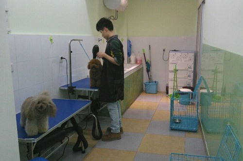 圣寵寵物江蘇常州萬達(dá)寵物店
