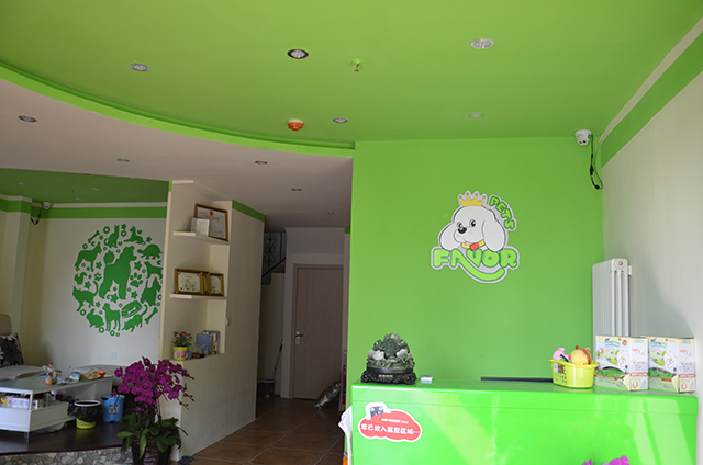 圣寵寵物北京大興茉莉公館寵物店