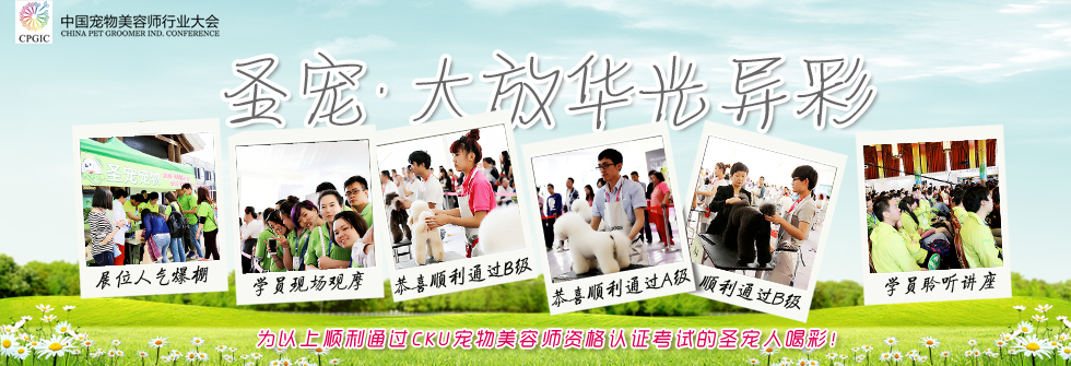 寵物美容培訓(xùn)專區(qū)