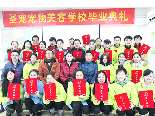 如何選擇一家正規(guī)的寵物美容學校