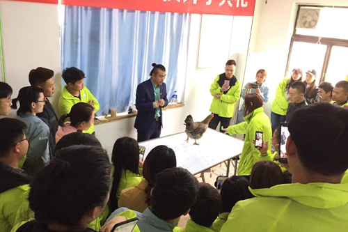 圣寵寵物培訓(xùn)學(xué)校73期訓(xùn)雞課程