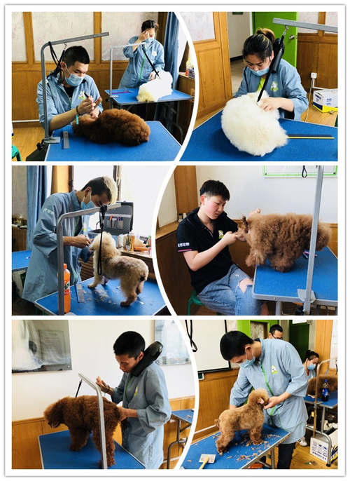 為你喝彩丨今天79期美容班的優(yōu)秀表現(xiàn)非TA莫屬